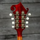 Eastman MD515/v