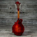 Eastman MD515/v