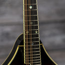 Eastman MD605-SB