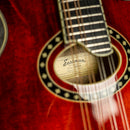 Eastman MD614