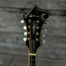 Eastman MD815/V