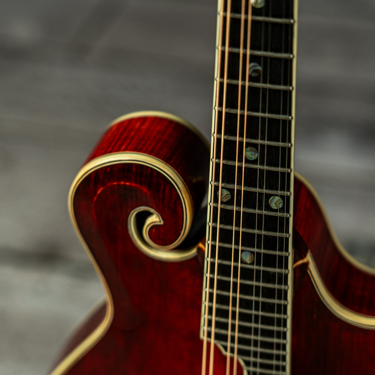 Eastman MD815/V (USED)