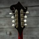 Eastman MD815/V