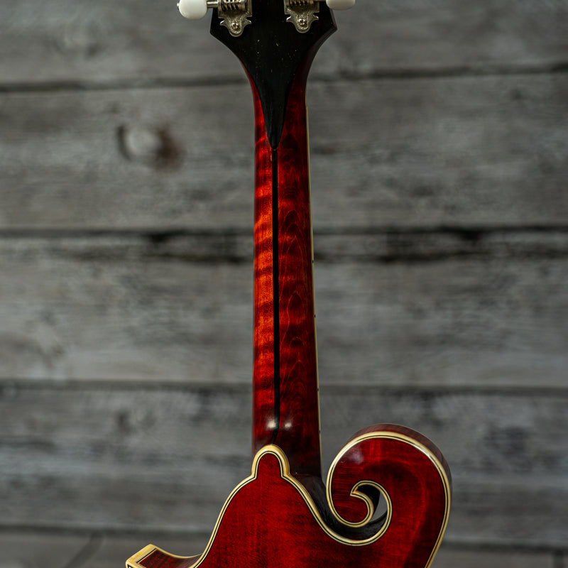 Eastman MD815/V (USED)