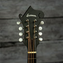 Eastman MDA315