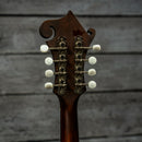 Eastman MDA315