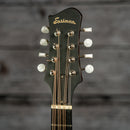 Eastman MDO305
