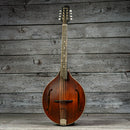 Eastman MDO305