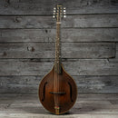 Eastman MDO305