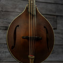 Eastman MDO305