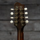 Eastman MDO305