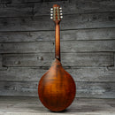 Eastman MDO305