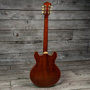 Eastman T185MX - Goldburst