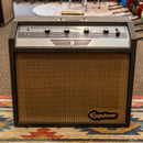 Epiphone EA-33RVT Galaxie