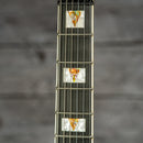 Epiphone Prophecy Extura