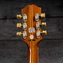 Epiphone Masterbilt Century Deluxe