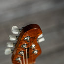 Ernie Ball Music Man JP15 Burl Top