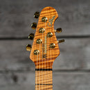 Ernie Ball Music Man Jason Richardson Signature Cutlass HH - Majora Purple, Roasted Maple Neck