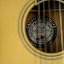 Fender California Vintage Palomino