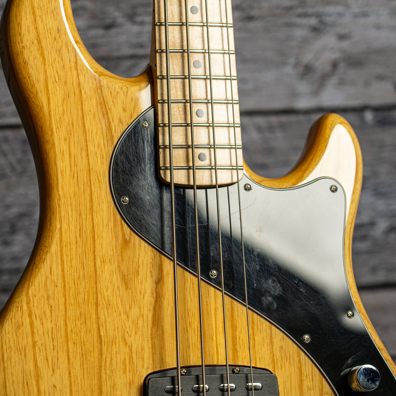 Fender Deluxe Dimension Bass