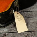 Fender Wildwood I Coronado II 1967