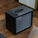 Friedman Mini Dirty Shirley 1x 12" Extension Cabinet