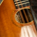 Gibson A Mandolin 1910's