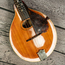 Gibson A Mandolin 1910's