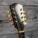 Gibson A Mandolin 1910's