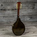 Gibson A Mandolin 1920