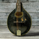 Gibson A Mandolin 1921