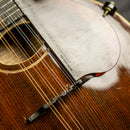 Gibson A Mandolin 1921
