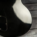 Gibson Adam Jones Les Paul Standard