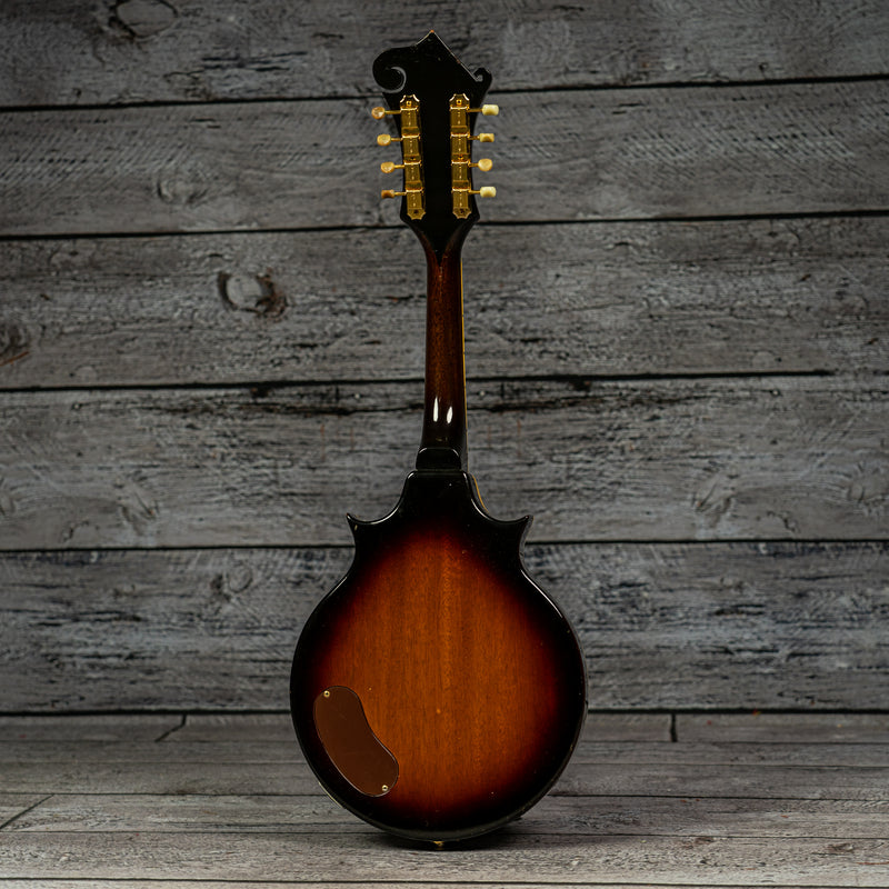 Gibson EM-200 1962