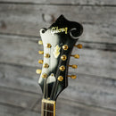 Gibson EM-200 1962
