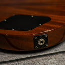 Gibson Les Paul Special Tribute P90