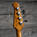 Gibson Thunderbird Setneck Bass - Tobacco Burst Perimeter