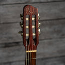 Godin Multiac Encore SG Nylon