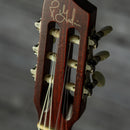 Godin Multiac Nylon Encore