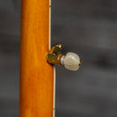 Gold Tone EBM-5 Banjo