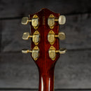 Gretsch 6122 Chet Atkins Country Gentleman 1966