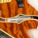Gretsch Limited Edition Falcon Center Block Jr.