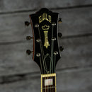 Guild Bluesbird