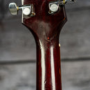 Guild D-25 1982