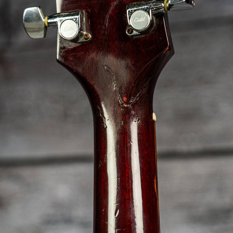 Guild D-25 1982
