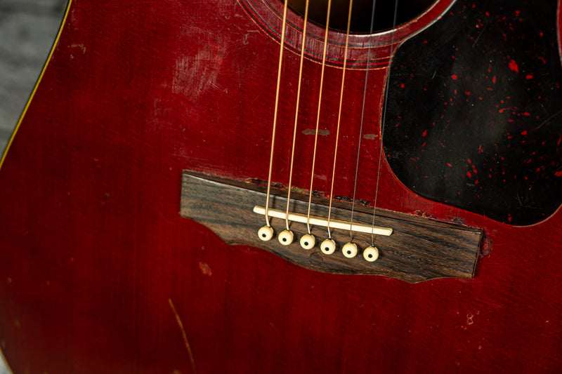 Guild D-25 1982