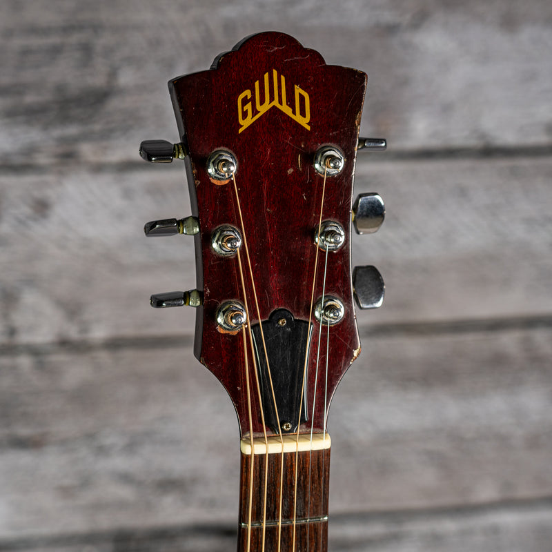 Guild D-25 1982
