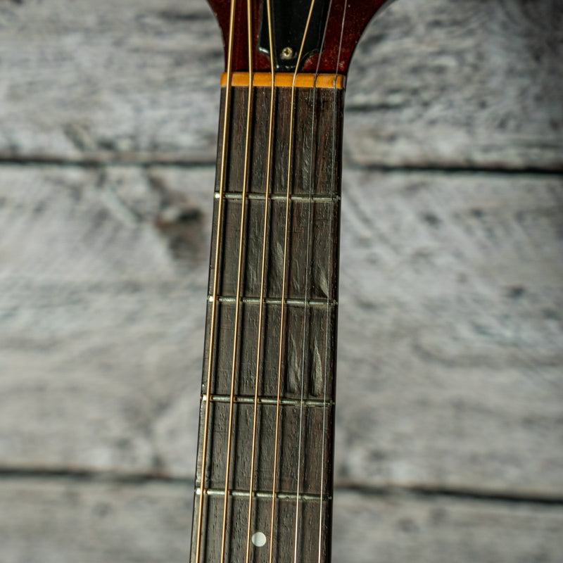 Guild D-25 1984
