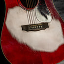 Guild D-25 1984