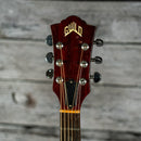Guild D-25 1984
